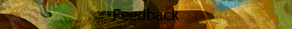 Feedback