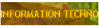 INFORMATION TECHNOLOGY