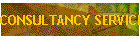 CONSULTANCY SERVICES